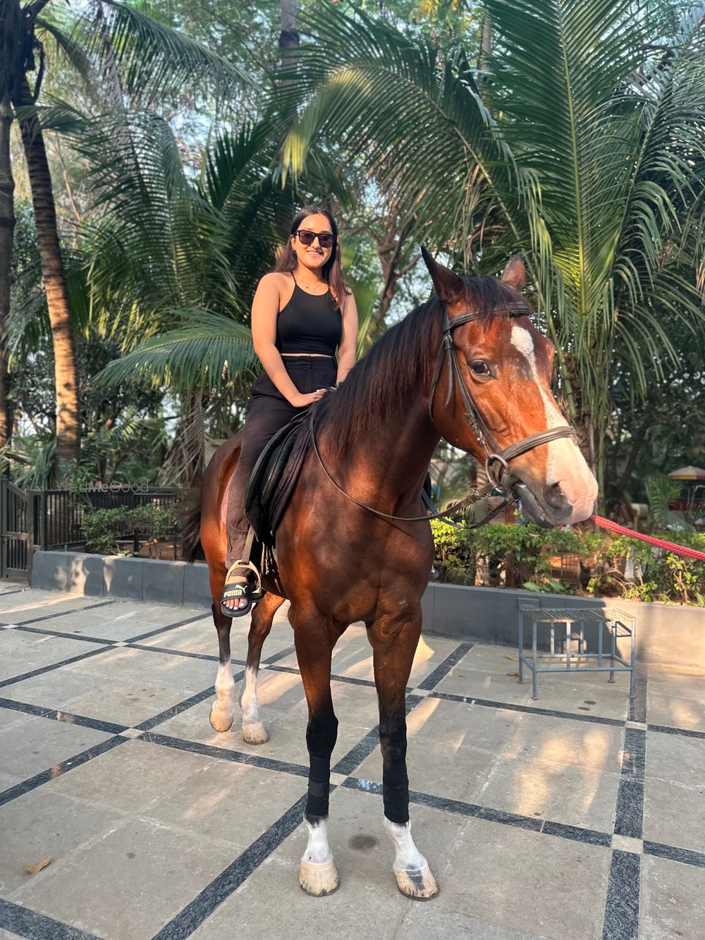 Photo From Horse Riding - By Marbella Farms and Resort