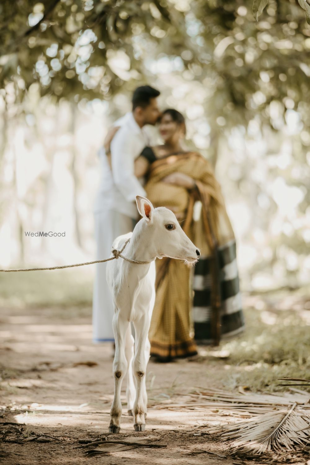 Photo From Maternity Shoot - By Shruthi Video