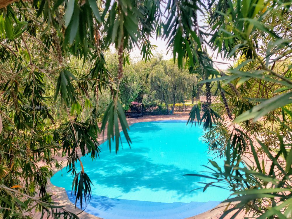 Photo From Poolside Area & Decor - By Umaid Palace -  A Lakeside Heritage Palace Resort