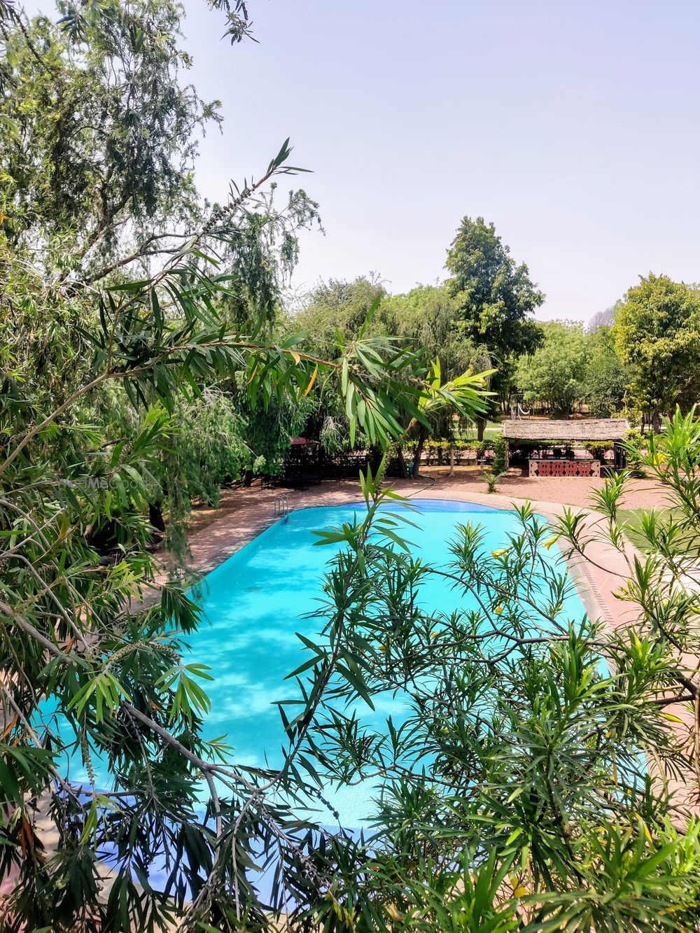 Photo From Poolside Area & Decor - By Umaid Palace -  A Lakeside Heritage Palace Resort