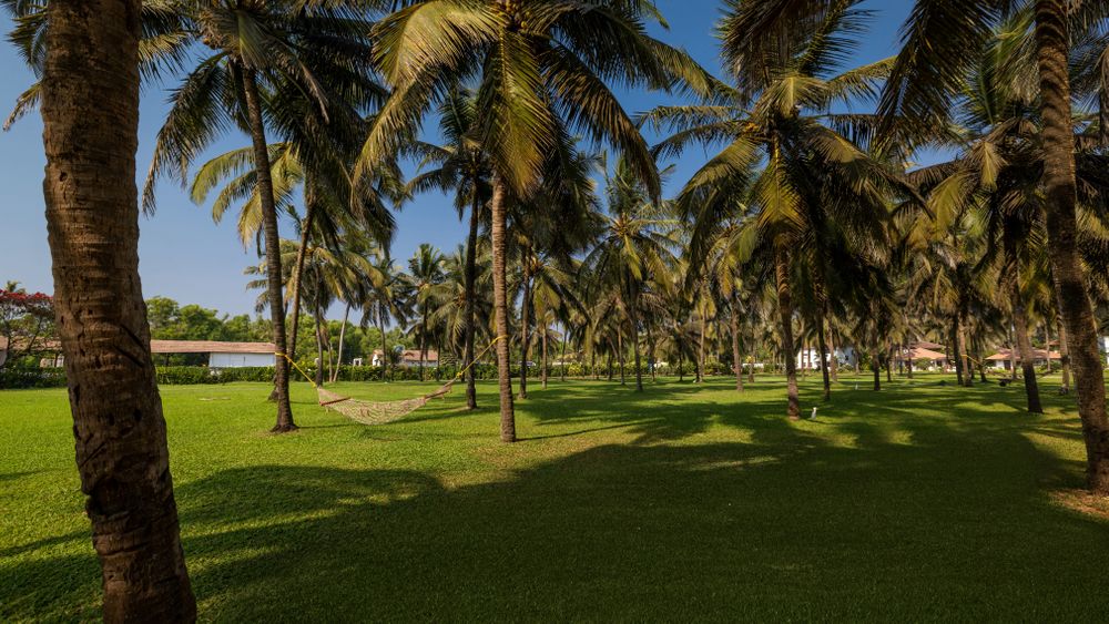 Photo From Seaside Lawns - By Novotel Goa Dona Sylvia Resort Hotel