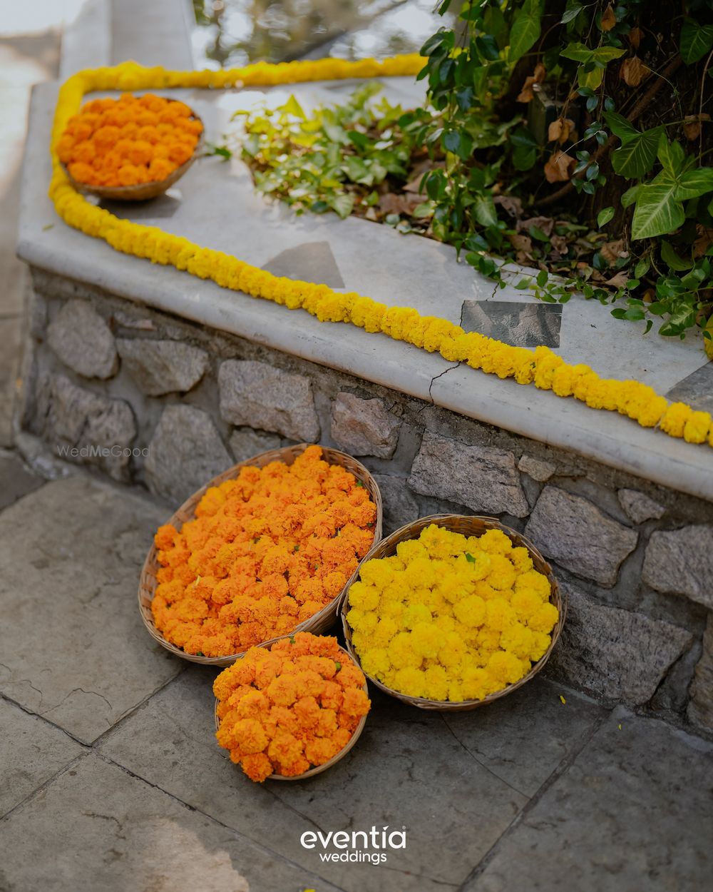 Photo From Haldi - Kanchu & Arjun - By Eventia Event Designers