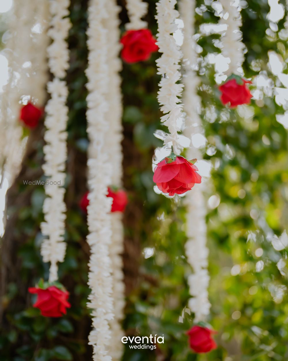 Photo From Haldi - Kanchu & Arjun - By Eventia Event Designers