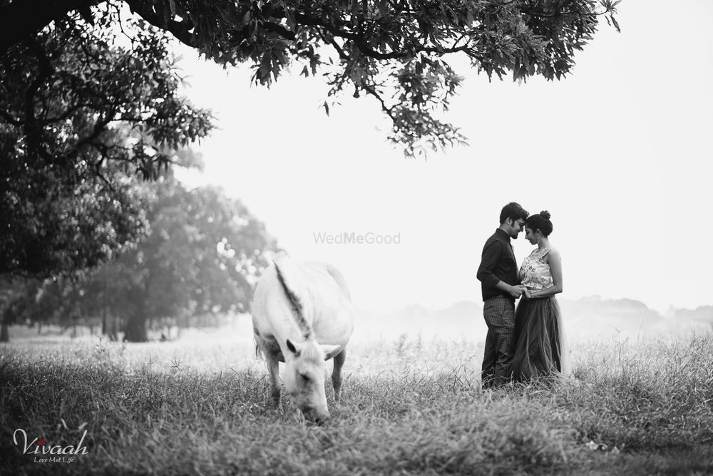 Photo From Pre or Post Wedding Photography - By Vivaah