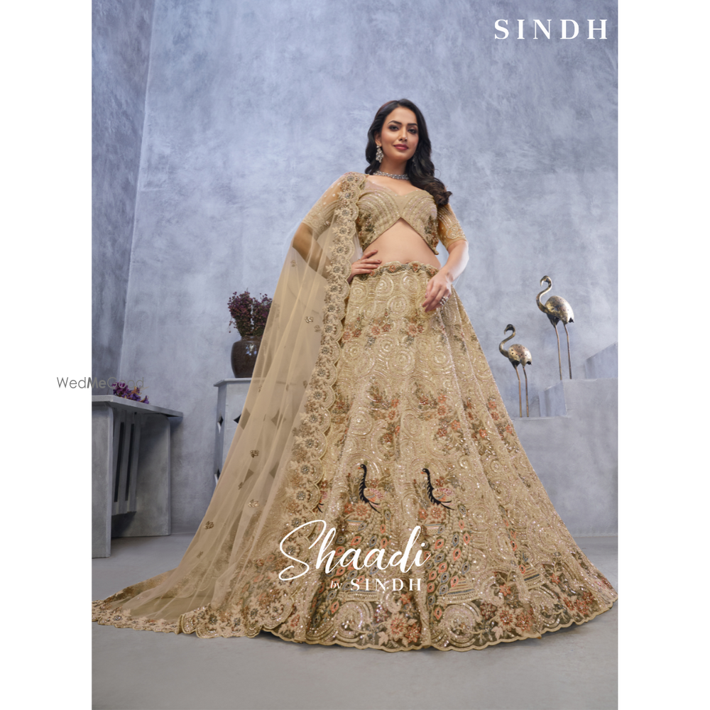Photo From Shaadi by Sindh 2024-SAREES & LEHENGAS - By Sindh Fashions