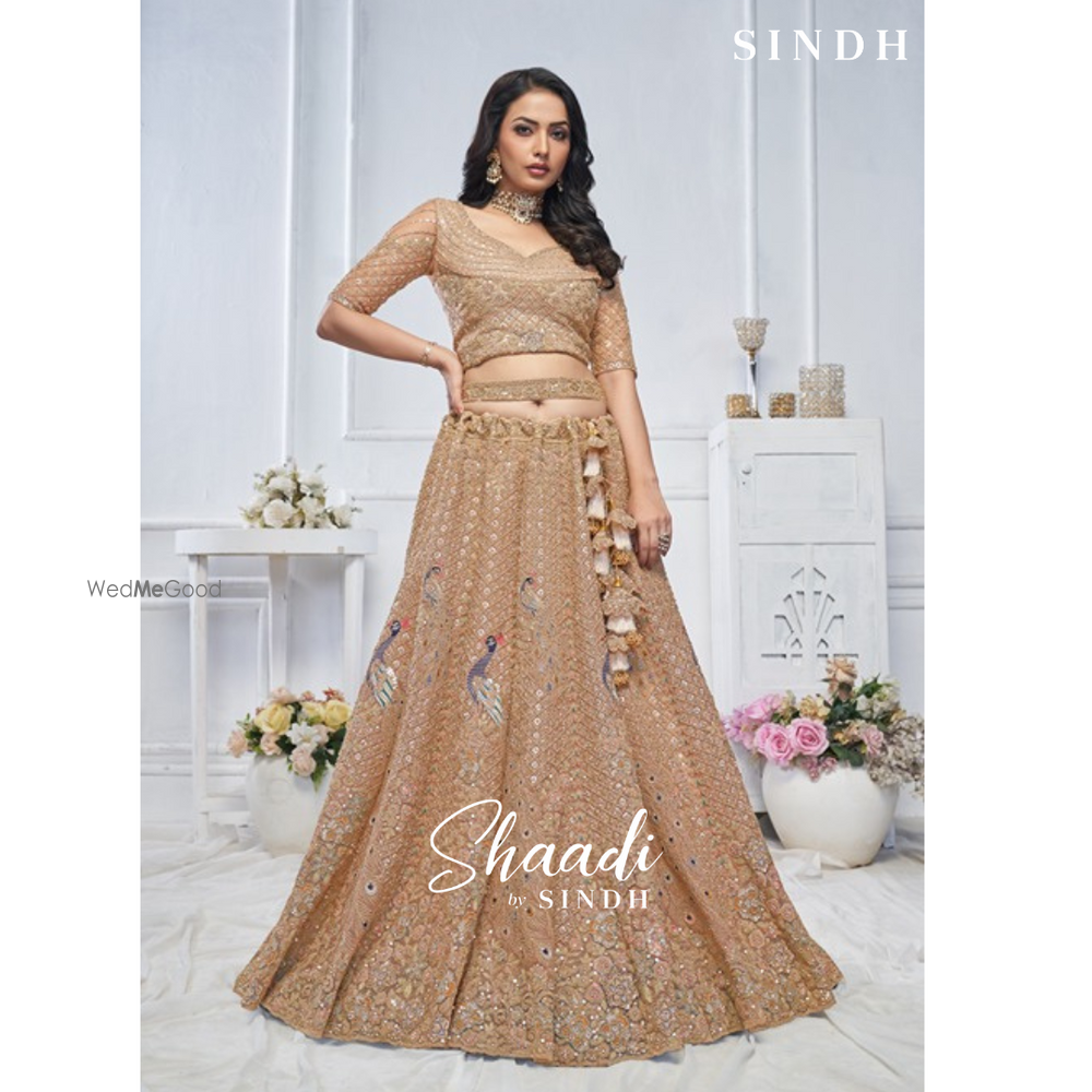Photo From Shaadi by Sindh 2024-SAREES & LEHENGAS - By Sindh Fashions
