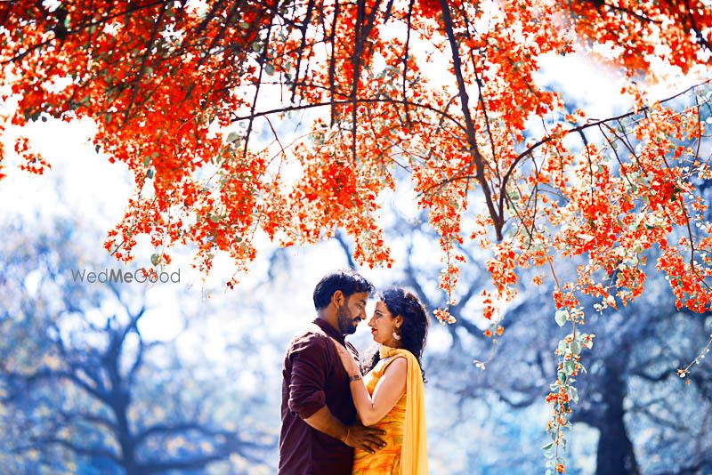 Photo From Lodhi Garden - By Wedding Pixel Artist