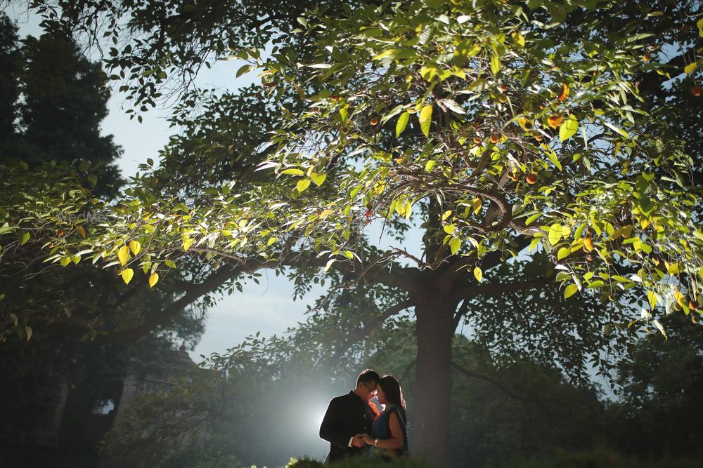 Photo From ANKIT & PRIYANKA PRE WEDDING SHOOT - By Rexphotography