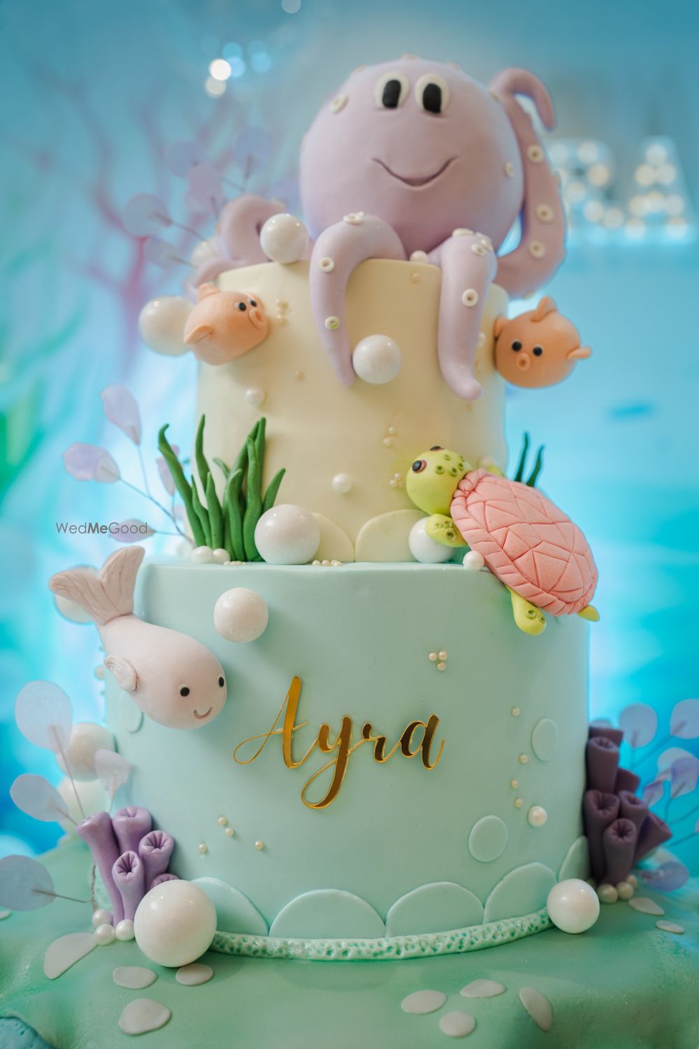 Photo From Ayra’s Seaworld  - By Chocolat Story
