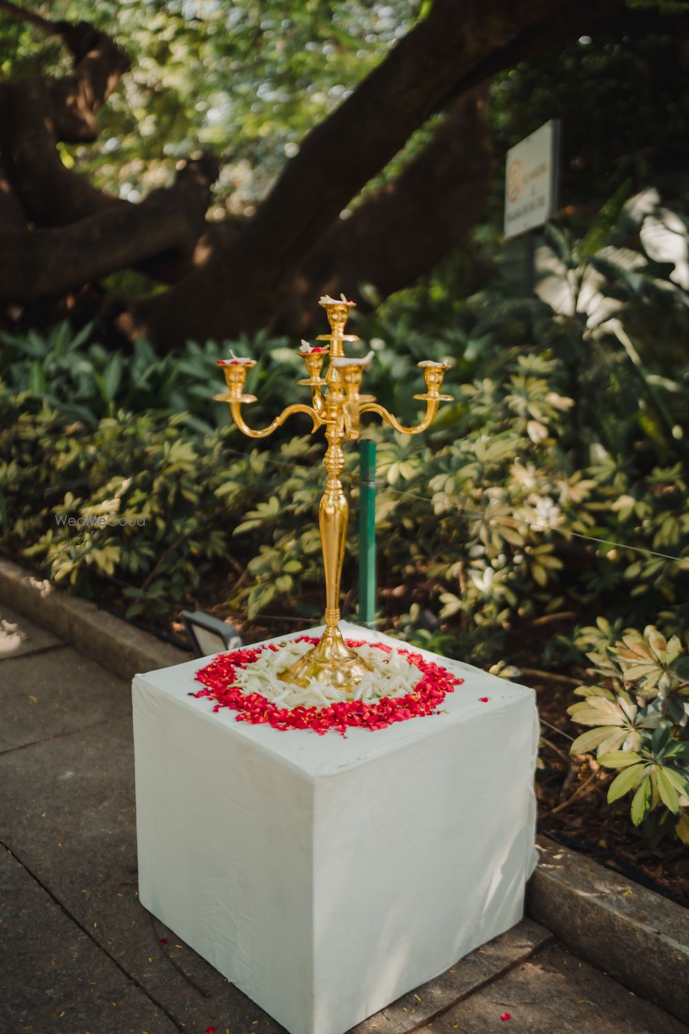 Photo From Nikhil & Shweta - By The Perfect Affair