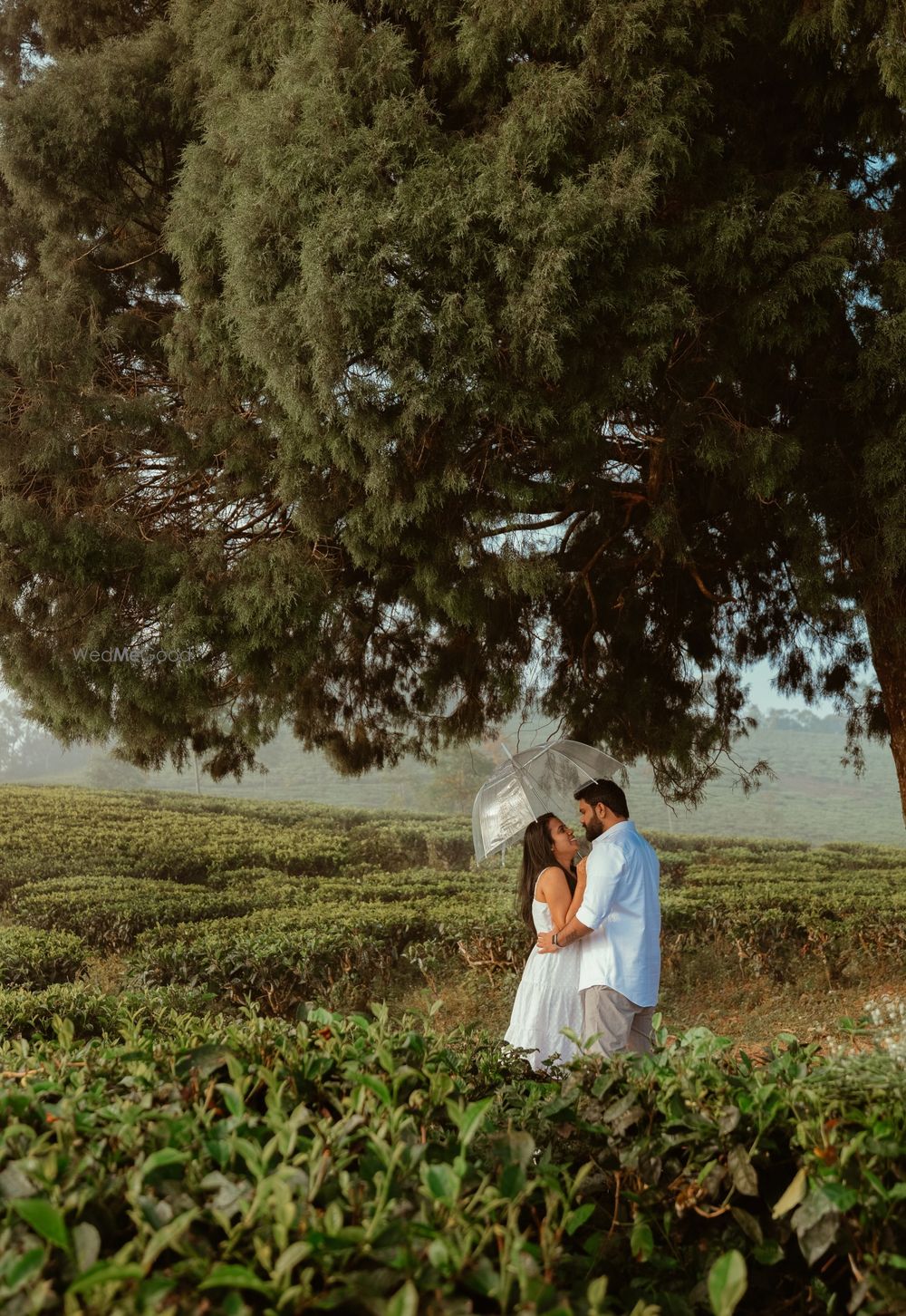 Photo From ASWATHY & GOPIKRISHNA - By Arona Fotografia