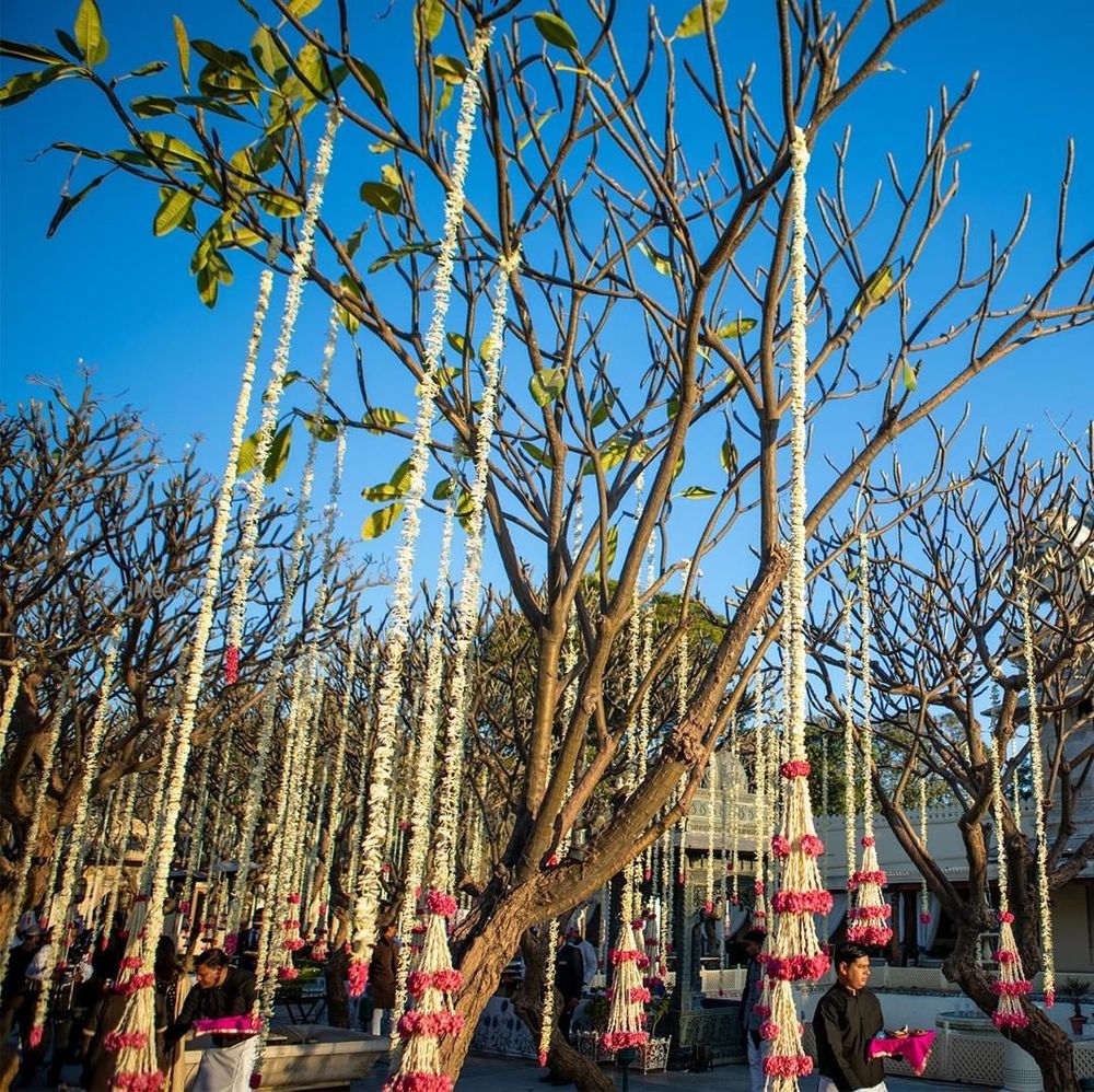 Photo From dharit & manshi - By Vows And Vivah