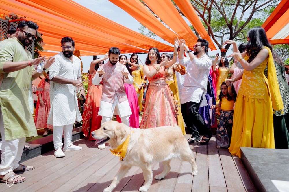 Photo From Vivek & Nidhi - By The Perfect Affair
