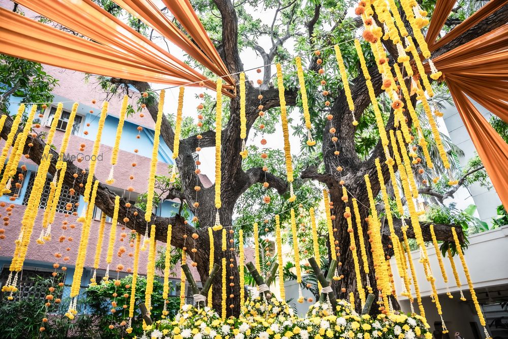 Photo From Sunshine Saga - By The Wedding Experience - Decor