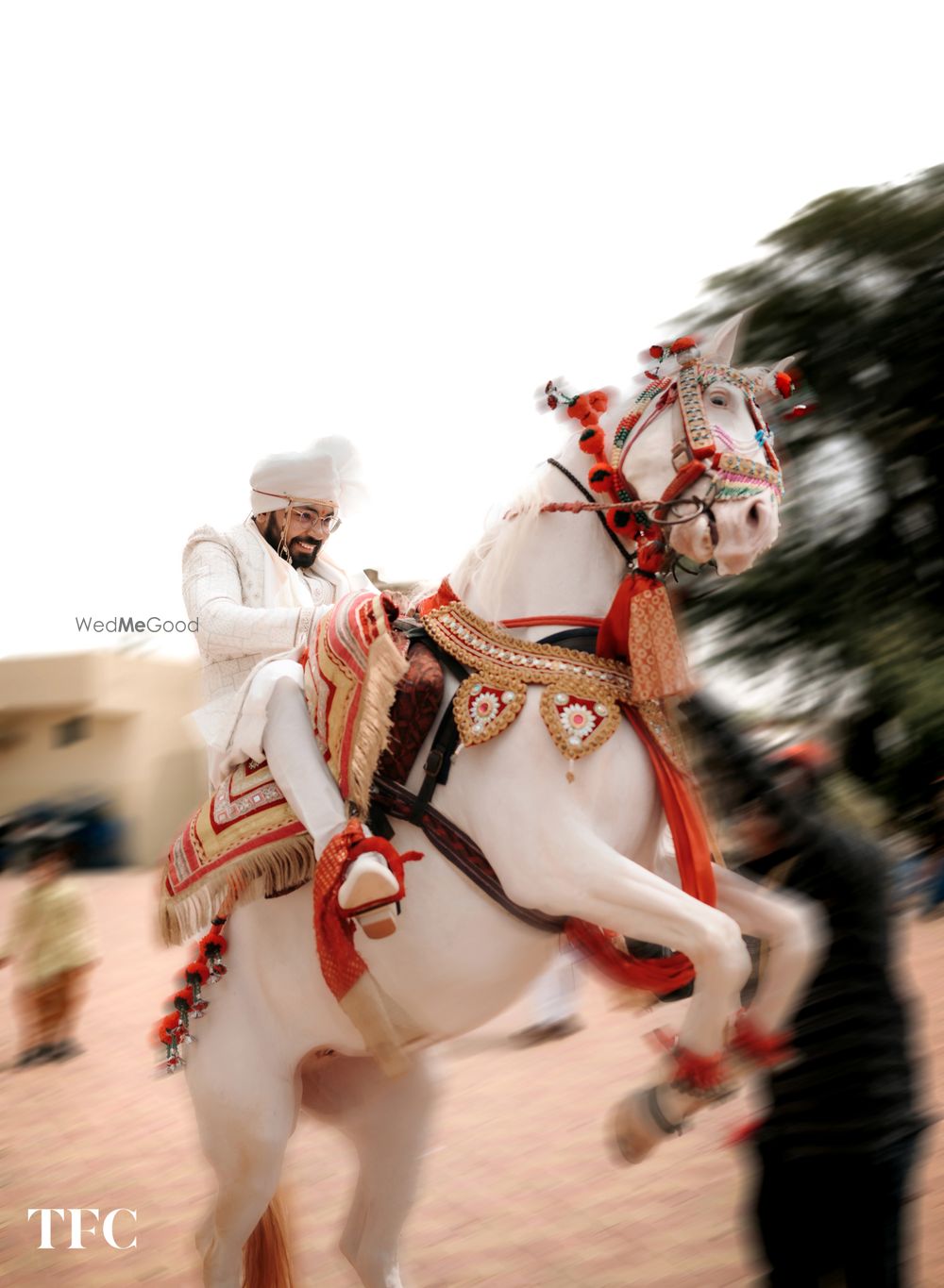 Cinematic Videography