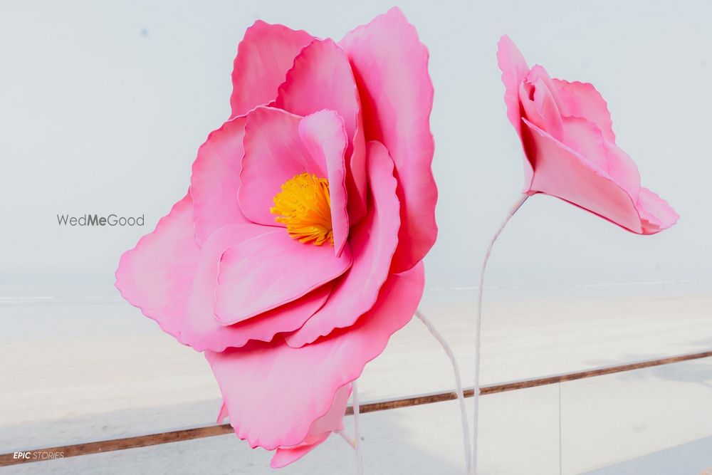 Photo From Haldi - By Trello Entertainment 