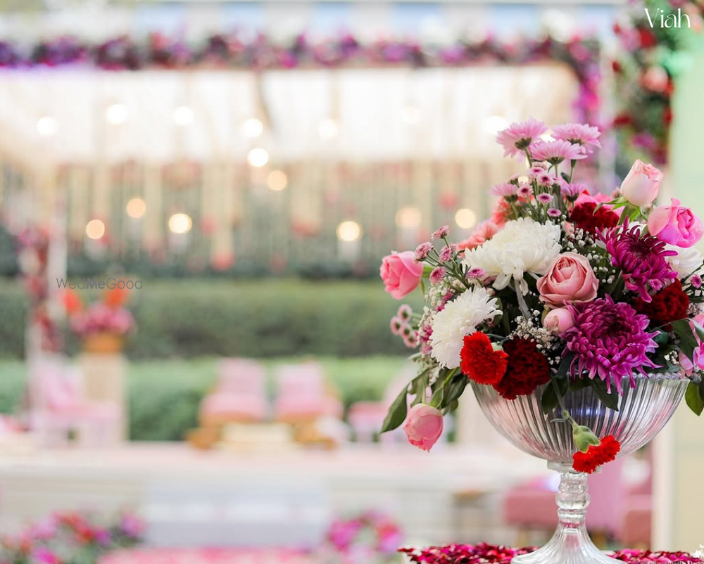 Photo From Venessa & mohit - By Viah