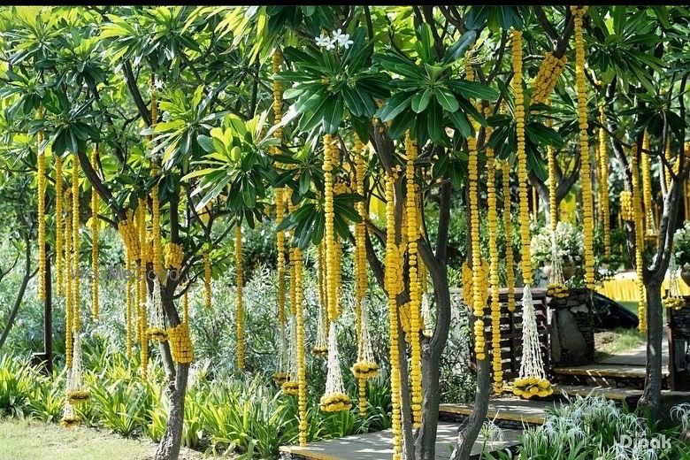 Photo From Tannu - By Over Million Wishes