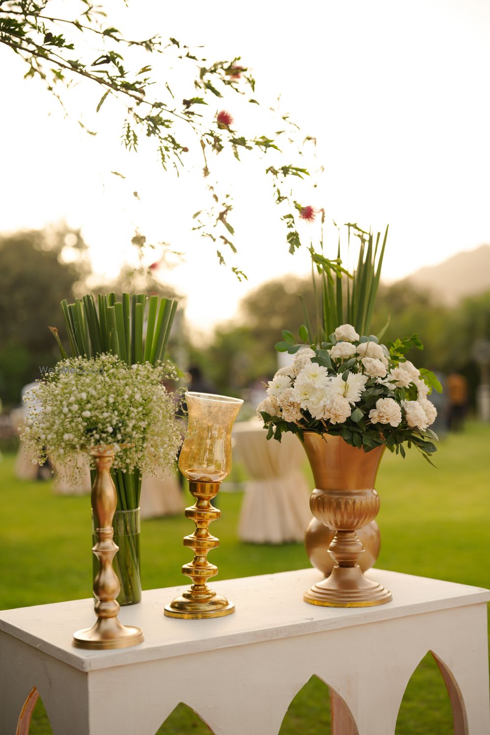 Photo From wedding experience  - By Wild Rose Resort