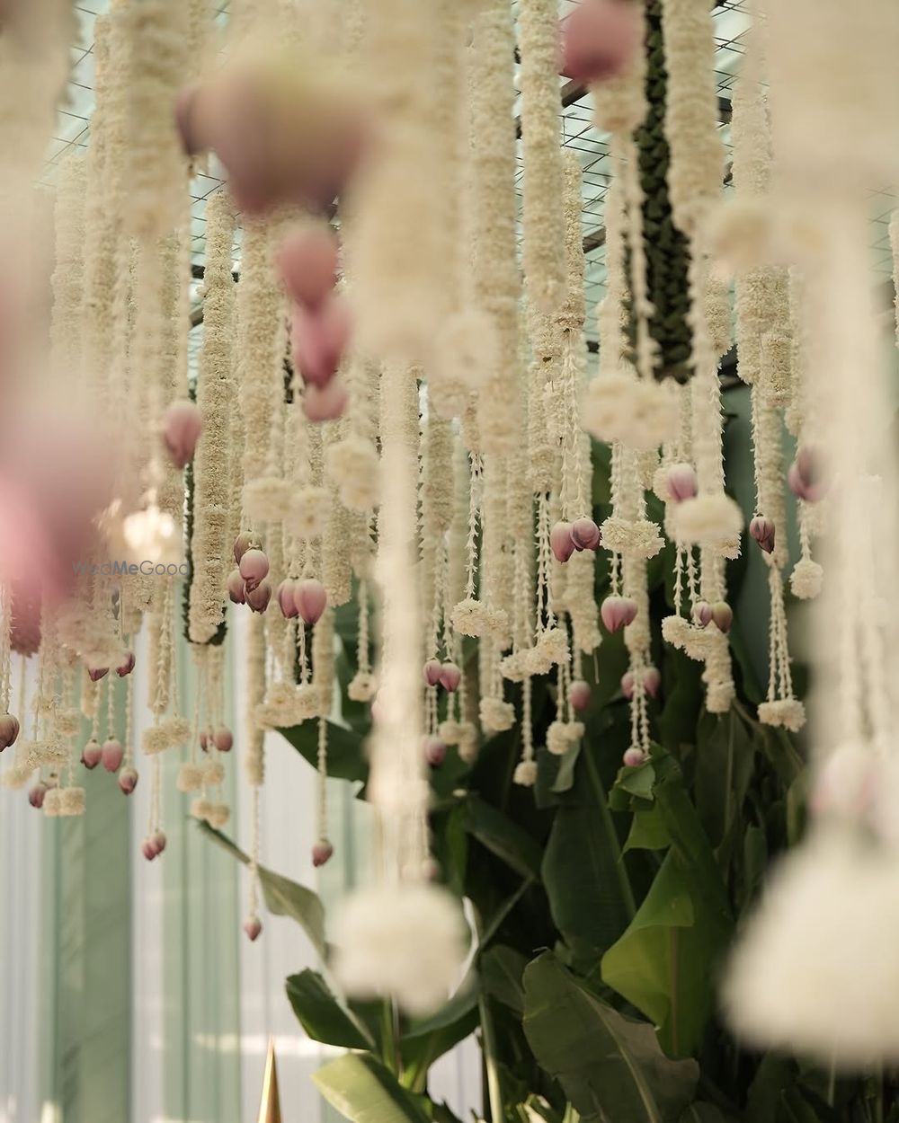 Photo From Shivani & Aditya - By Anhancing Dreams