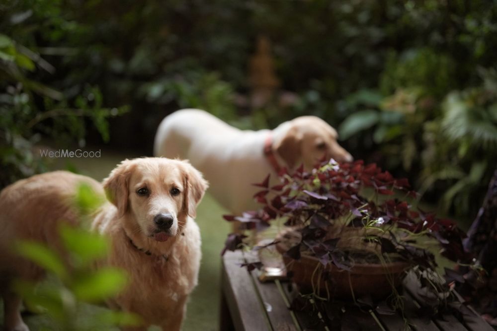 Photo From Sharannya & Siddharth - St.Regis, Mumbai - By Plush Affairs