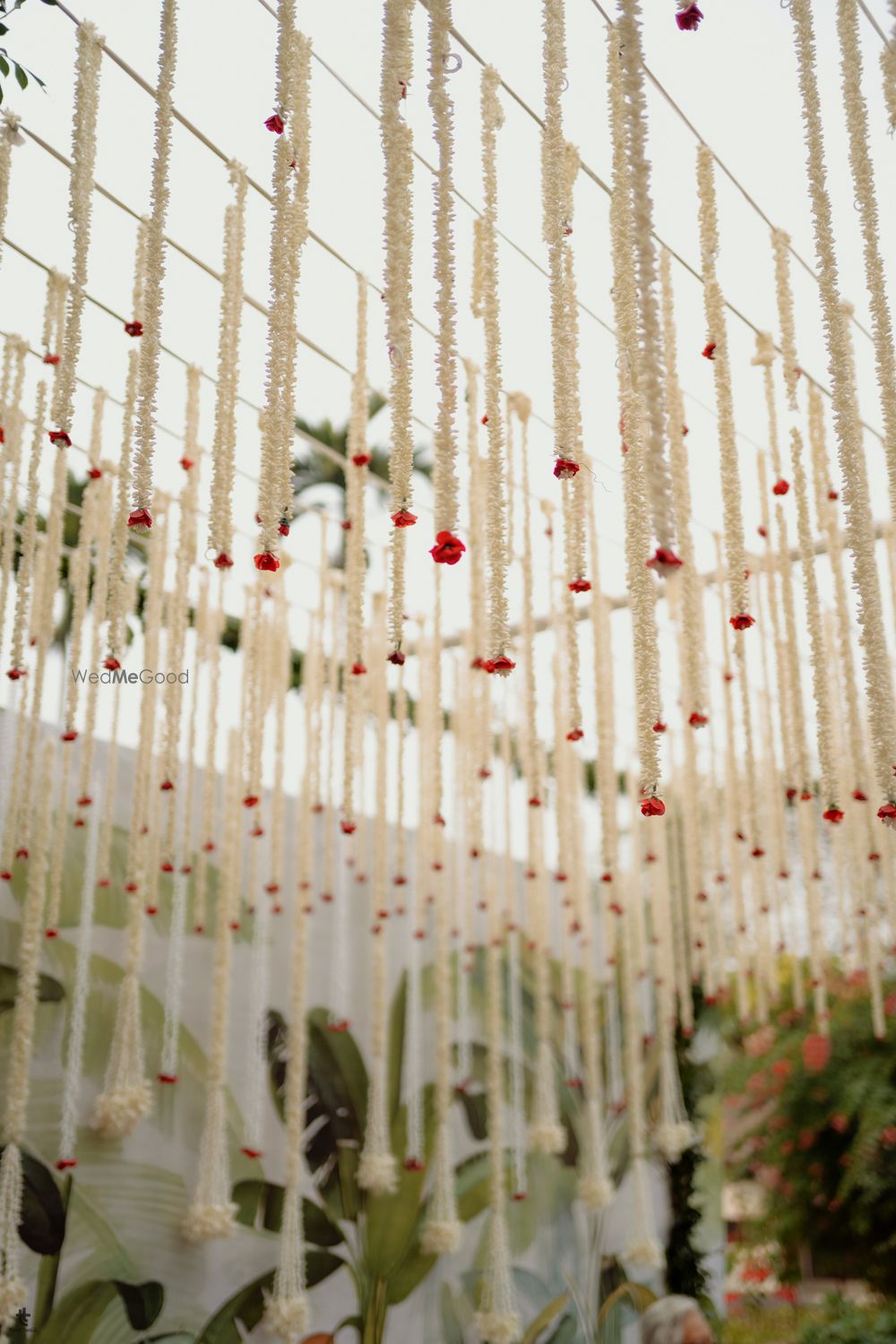 Photo From Rhea & Mohak - By House of Curators