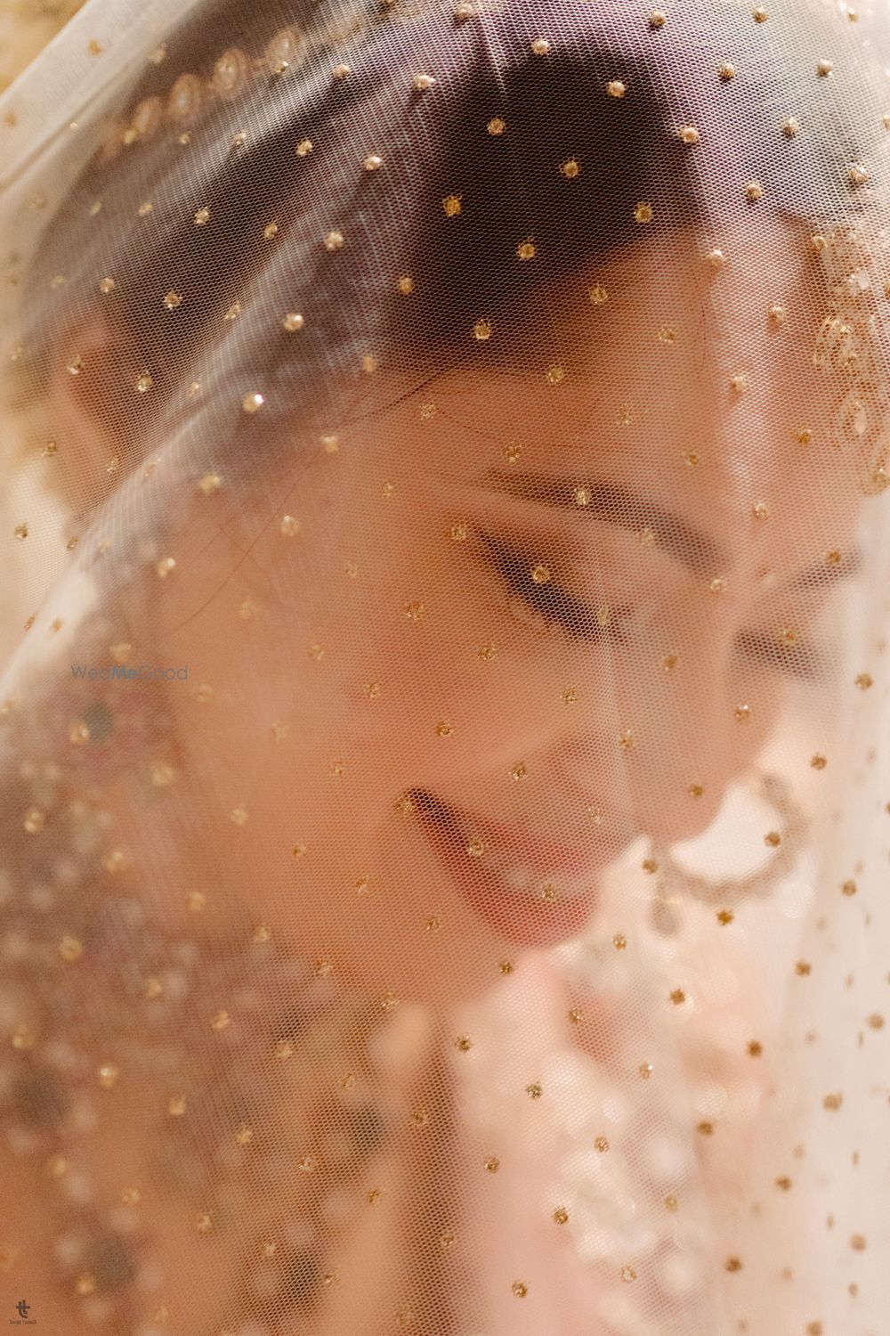 Photo From Rhea & Mohak - By House of Curators