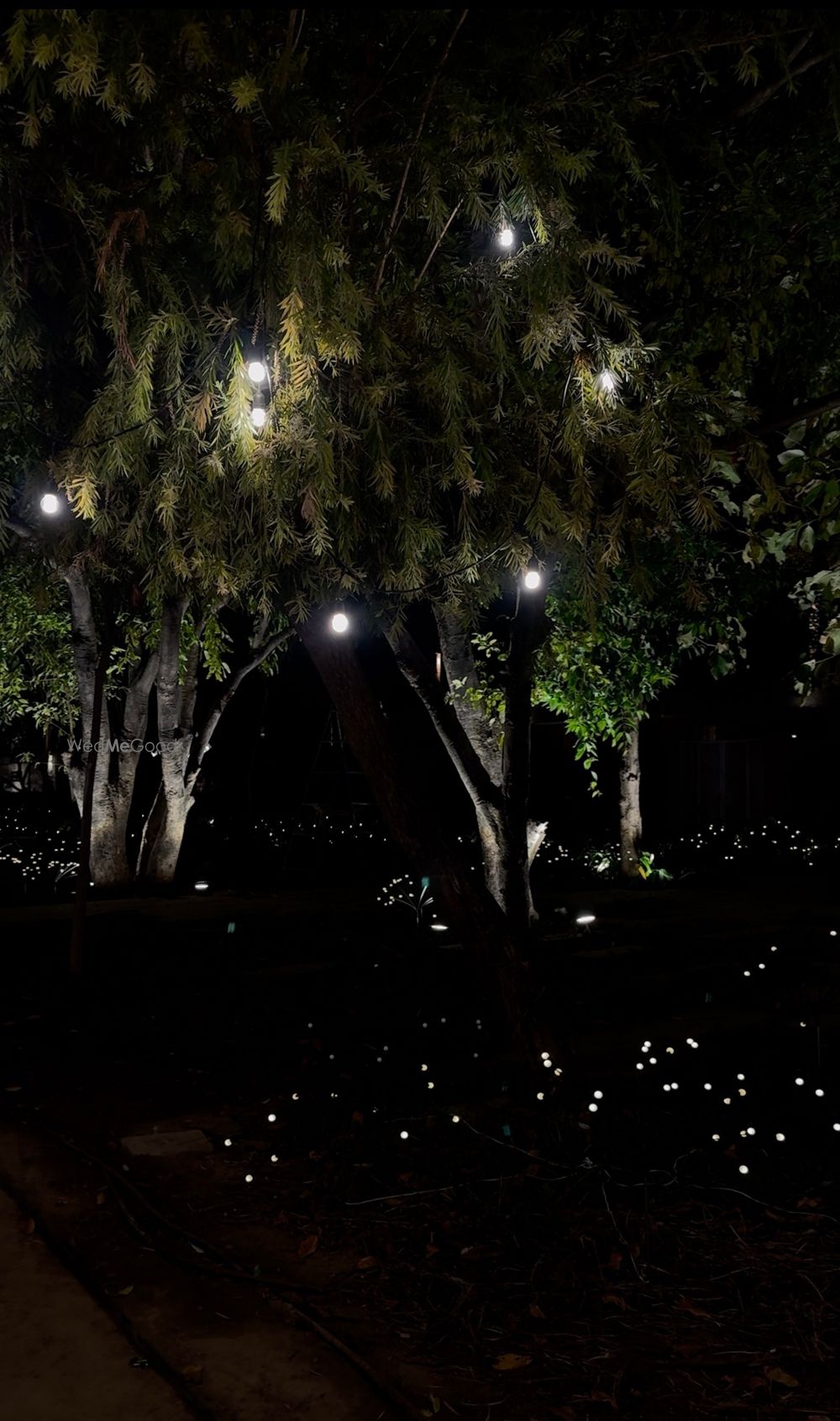 Photo From White Wedding Decor - By Petal Drops Wedding Studio