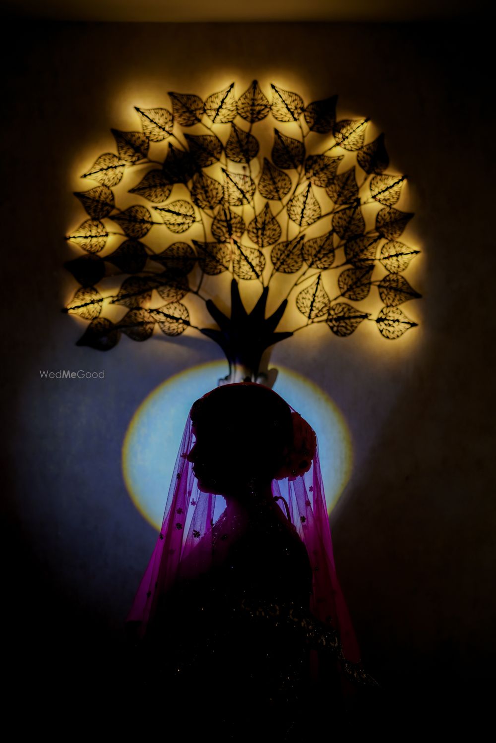 Photo From Ankur Ridhi - By Pictureshastra