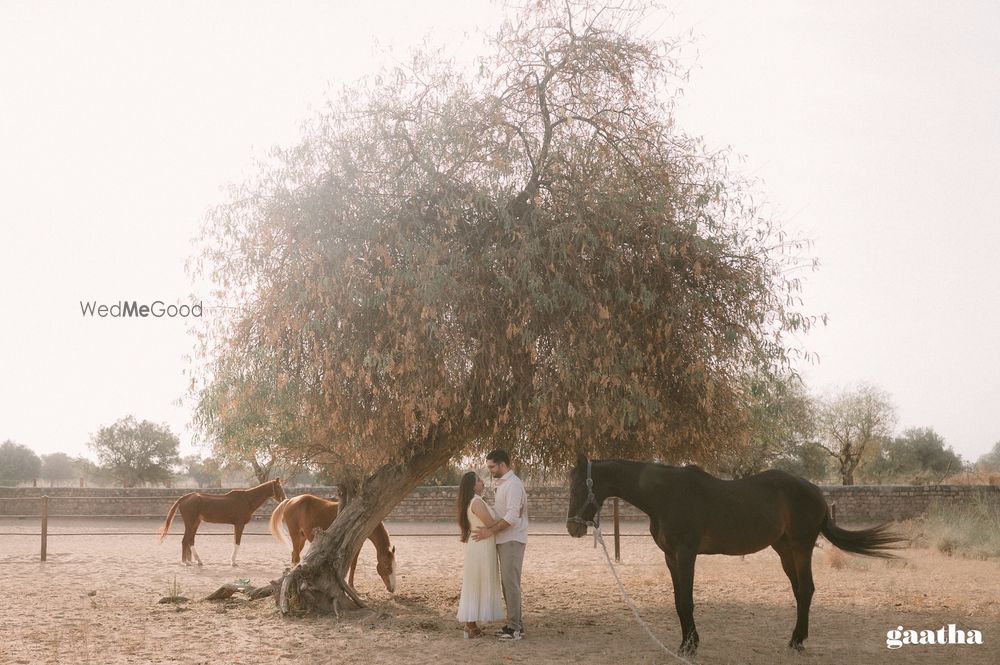 Photo From The Haveli Chapter - By Two Fat Ladies