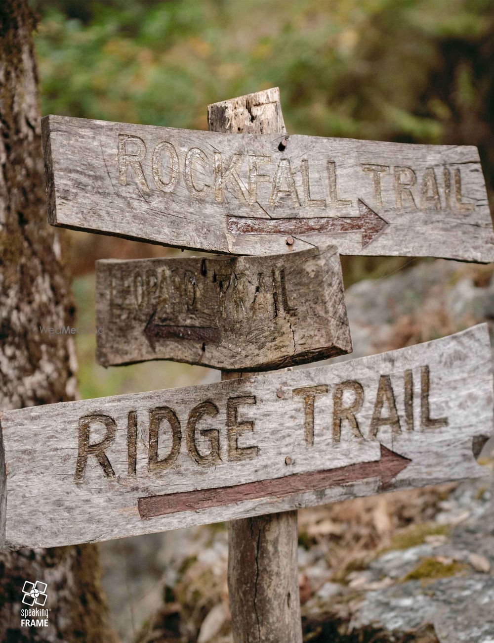 Photo From Rishish | Sulata - By Speaking Frame