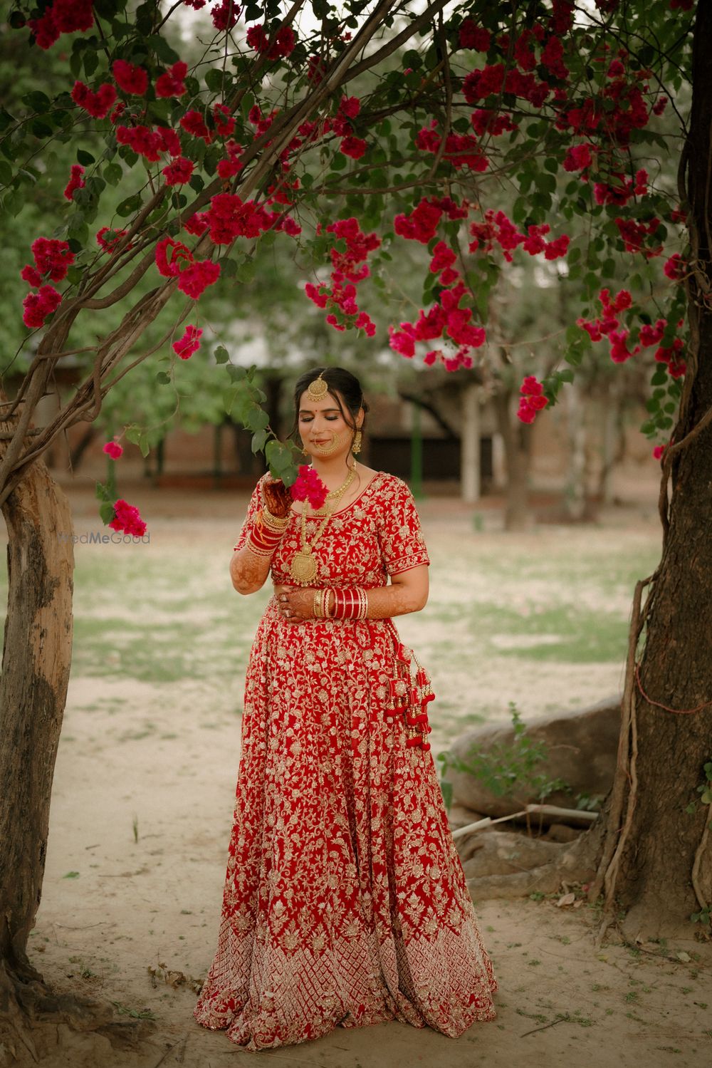 Photo From Anshul & Shifali  - By Himanshu Sharma Photography