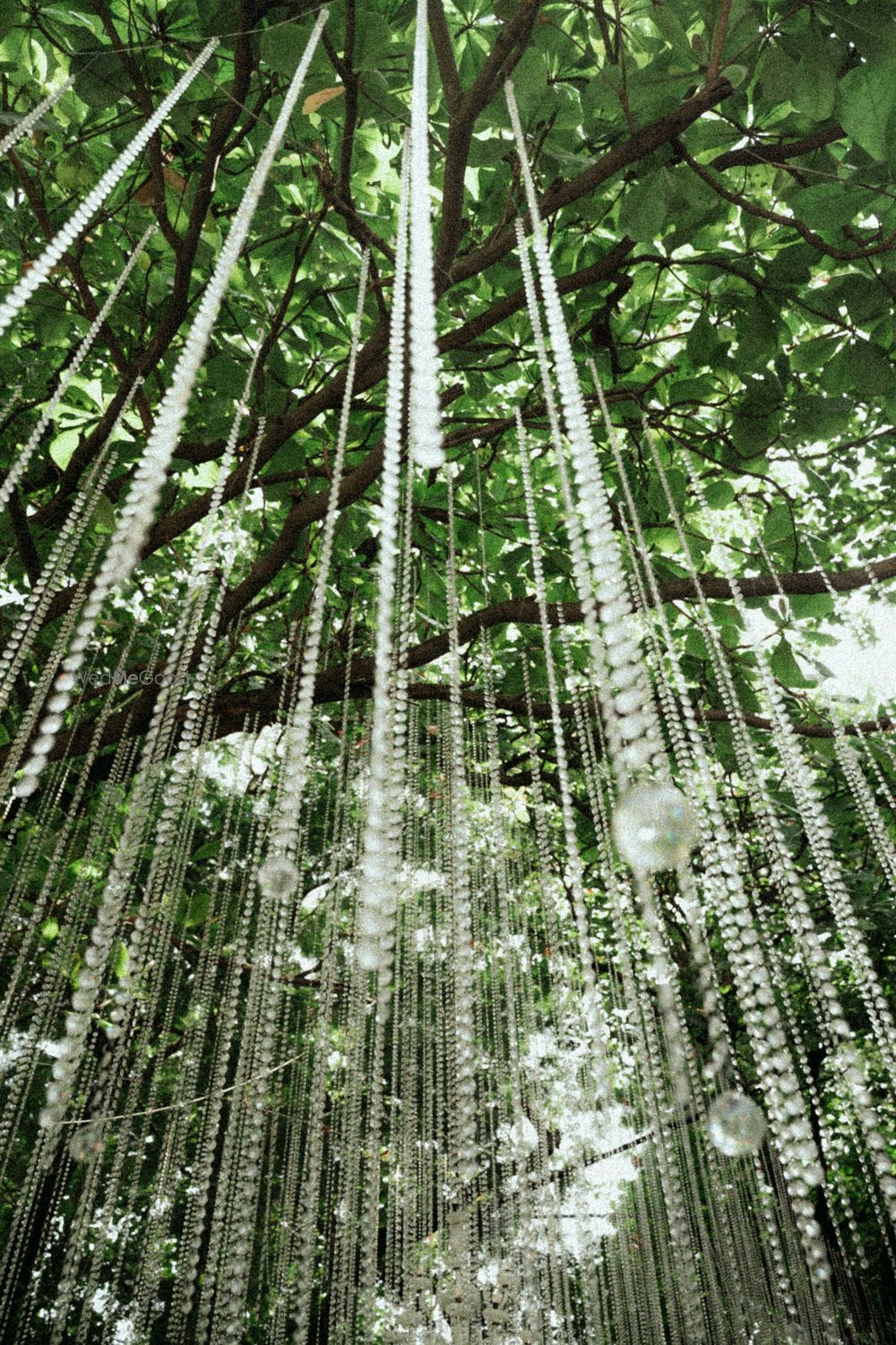 Photo From Rutuja & Gaurang - By Tikgraphy