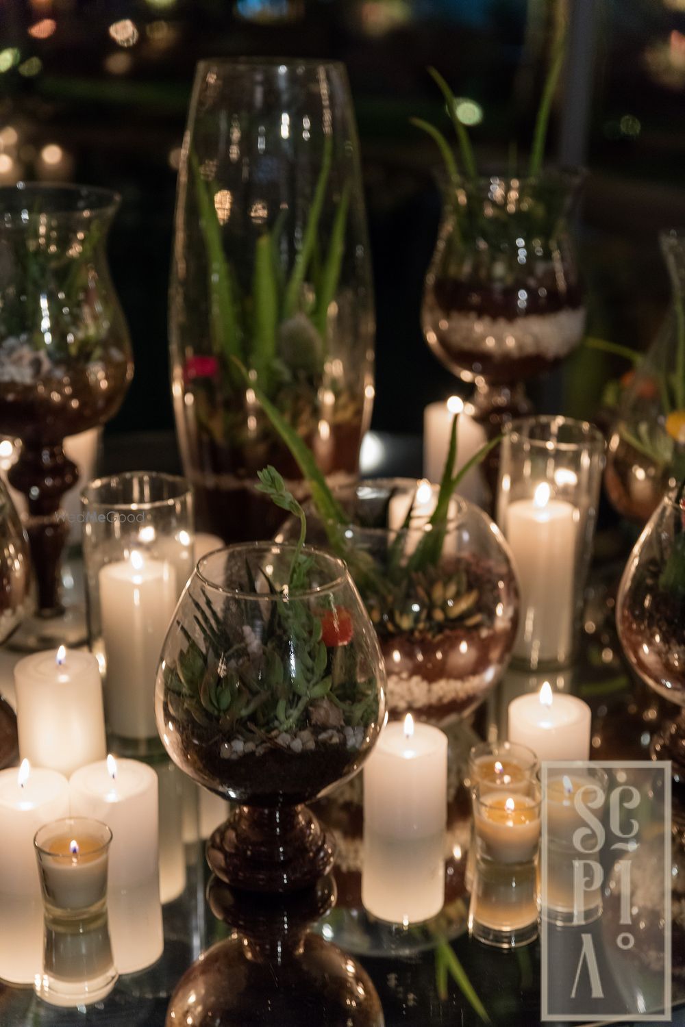 Photo From Poolside Reception - By Sepia Events