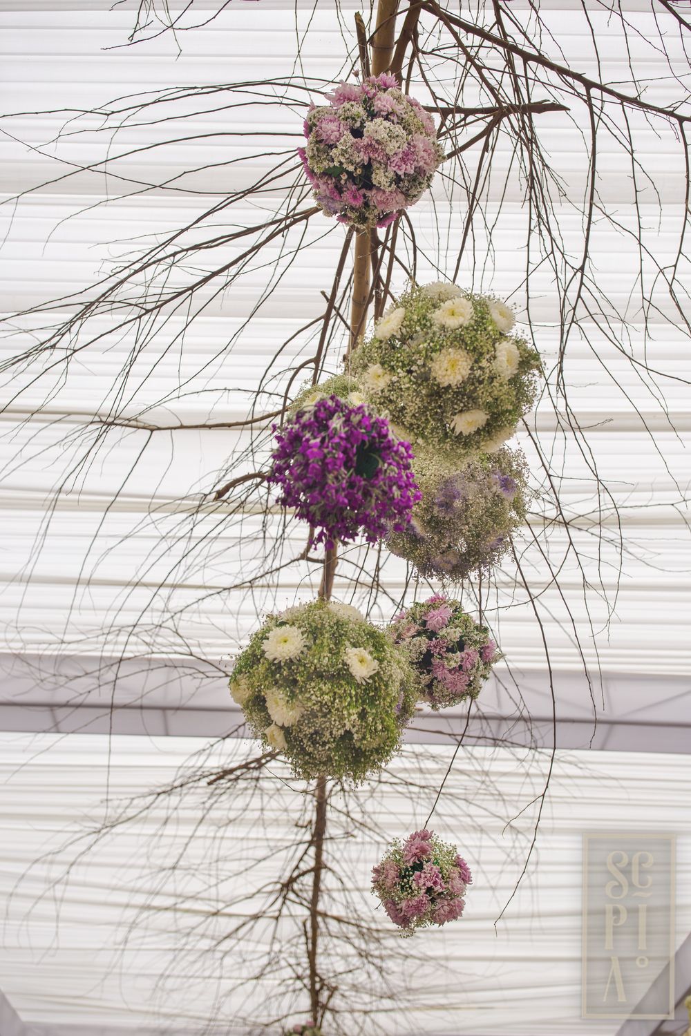 Photo of Dry floral installation for wedding