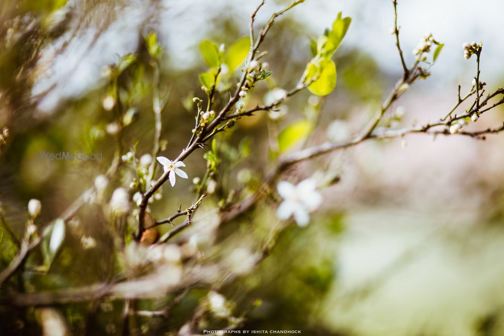 Photo From Ridhi & Varun - By Ishita Chandhock Photography