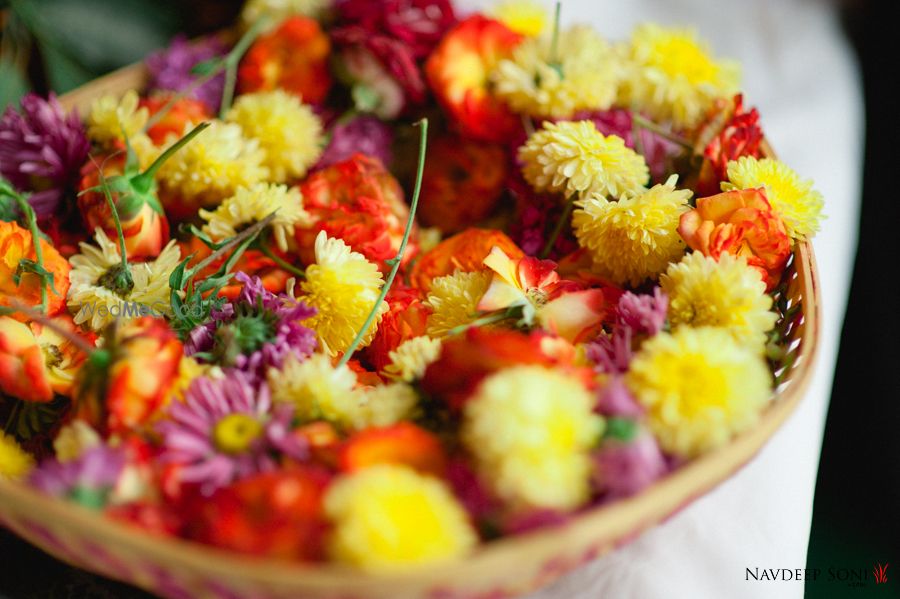 Photo From Chiraan Fort Telugu Wedding - By Navdeep Soni Photography