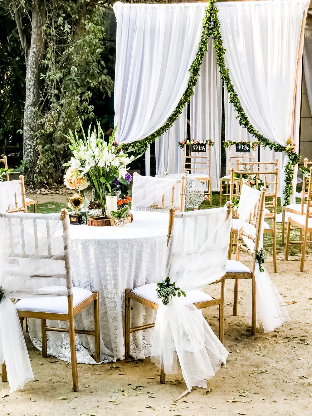 Photo From An Evening in Wilderness - By Designer Events Inc