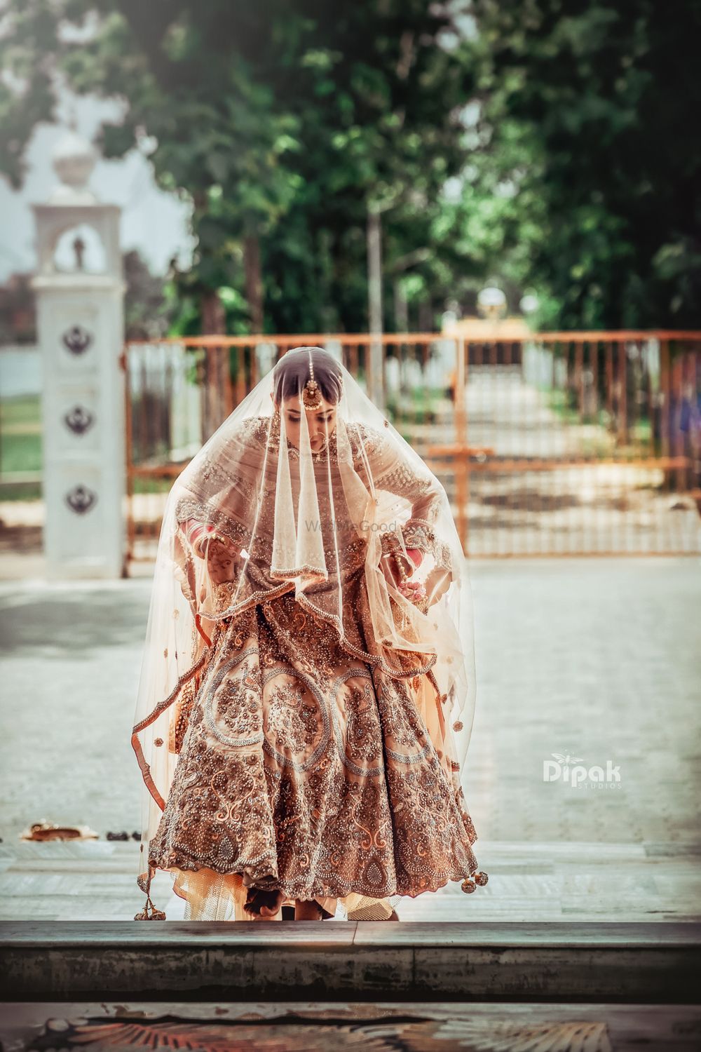 Photo of bride in rose gold lehenga with dupatta as veil