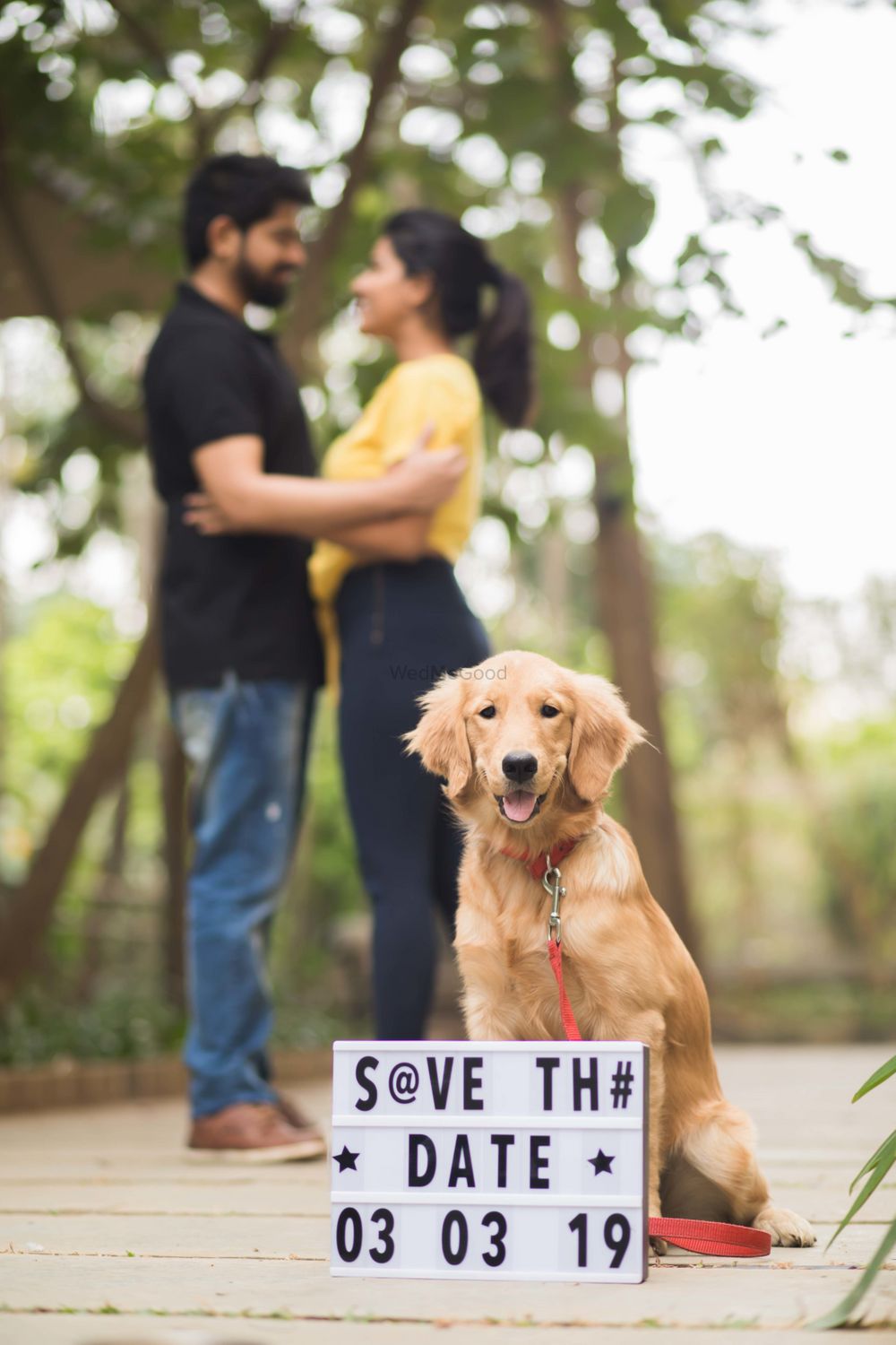 Photo of Save the date idea with dog and light box