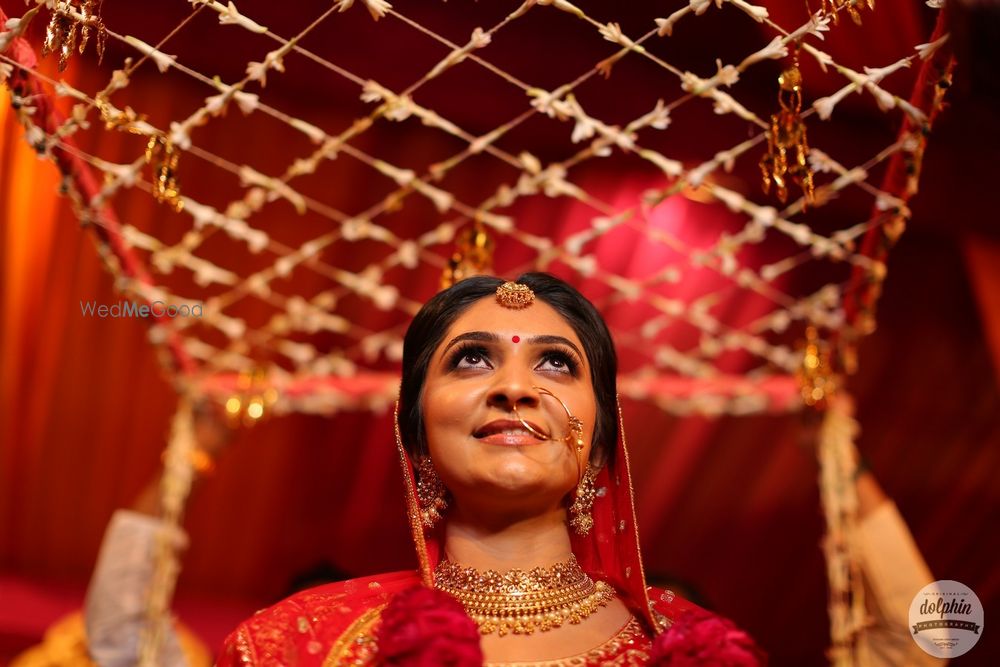 Photo From salil & varsha - By Dolphin Photography