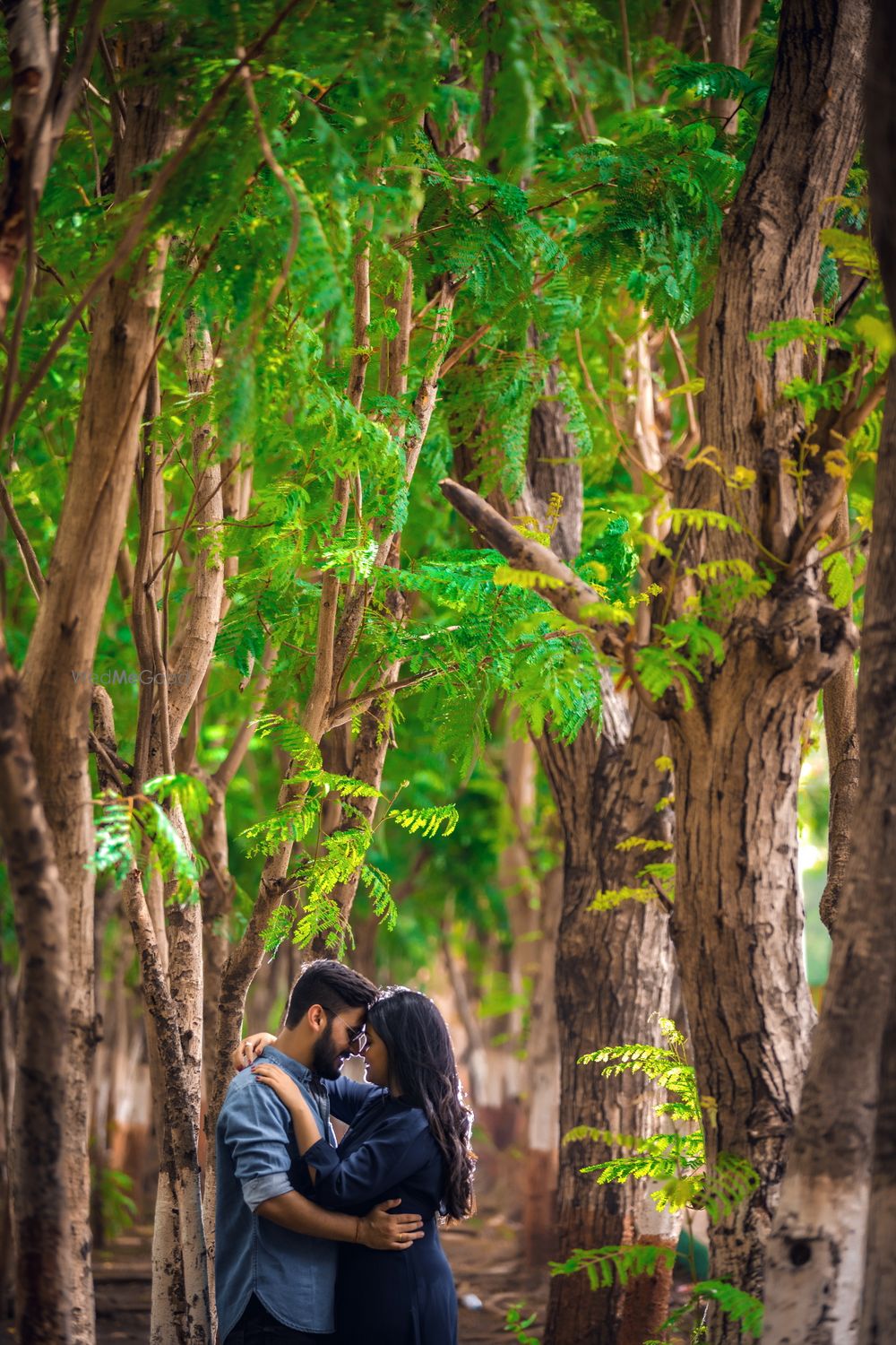 Photo From Shivani & Anant Pre-Wedding - By Karan Shah Photography