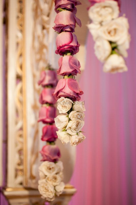 Photo of Upturned roses floral strings