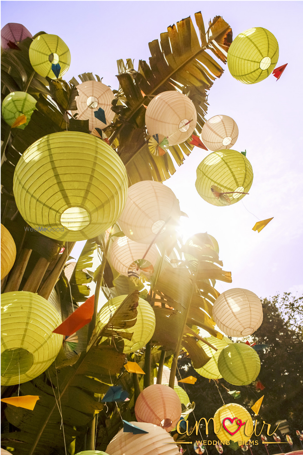 Photo of banana leaves