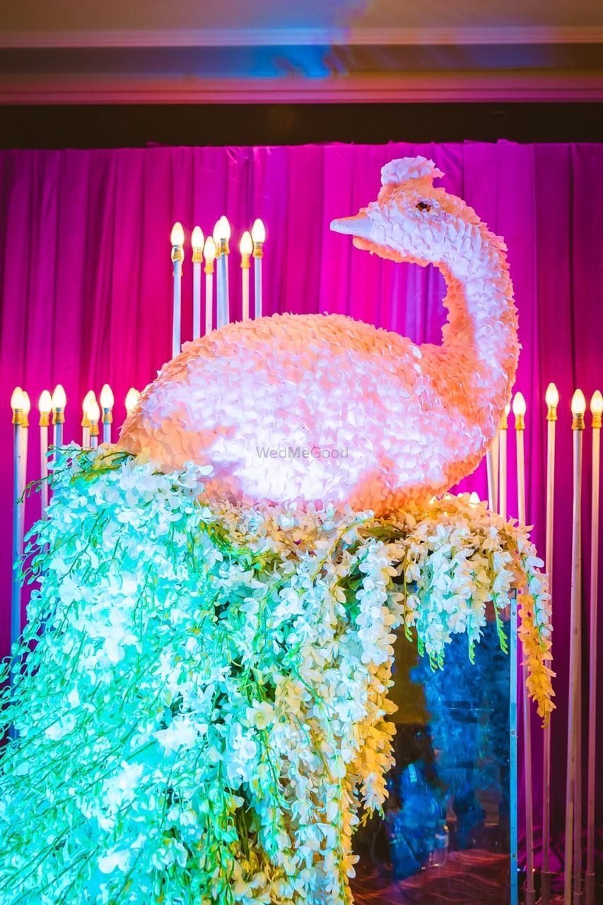 Photo From ABHISHEK AND PRIYANKA (cocktail reception ) - By Deluxe Decorators