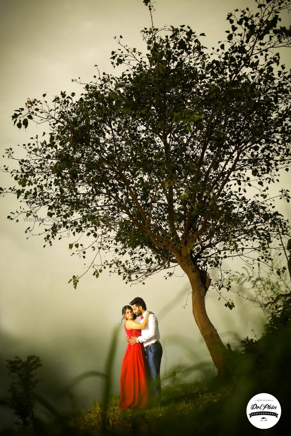 Photo From varun + heena - By Dolphin Photography