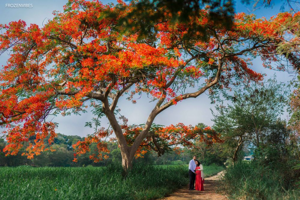 Photo From Pre wedding - By FrozenVibes by Nikhil