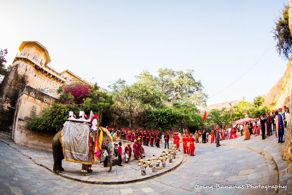 Photo of elephants in baraat