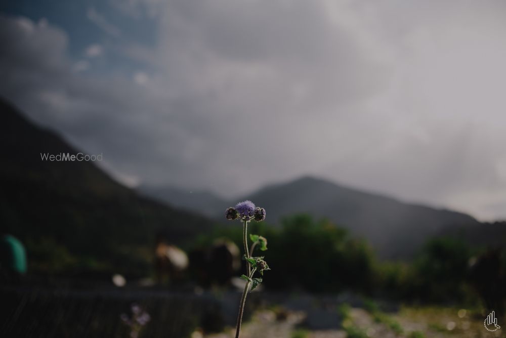 Photo From MANIL x  MANSI // DHARAMSHALA // WEDDING ALBUM - By Sab Moh Maya Hai