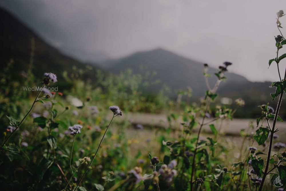 Photo From MANIL x  MANSI // DHARAMSHALA // WEDDING ALBUM - By Sab Moh Maya Hai